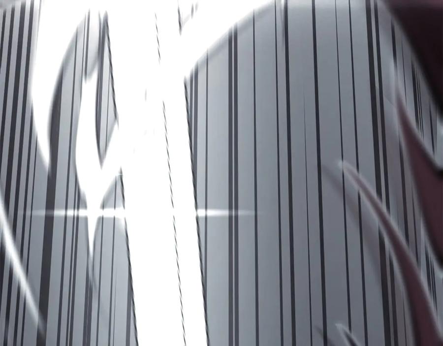 第242页
