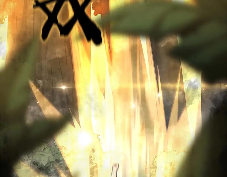 第231页