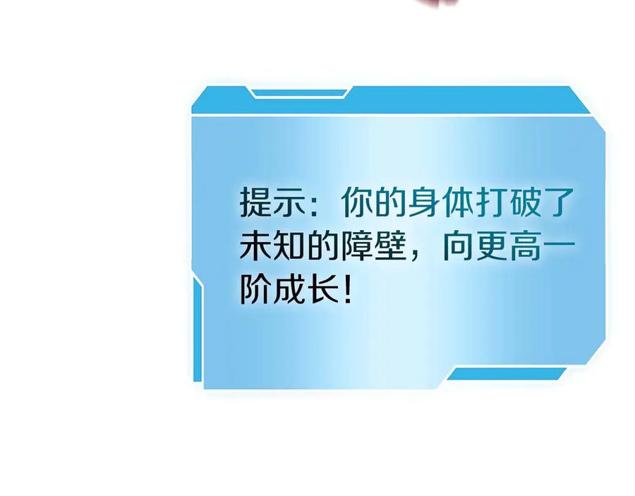 第246页