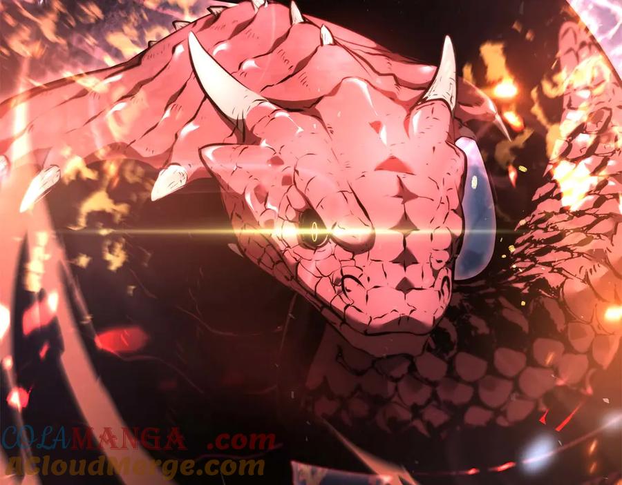 第217页
