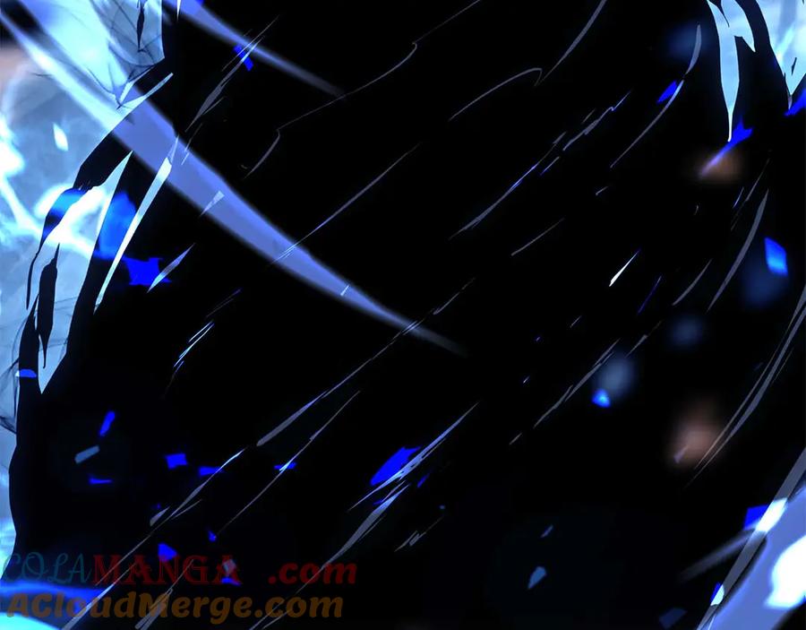 第229页