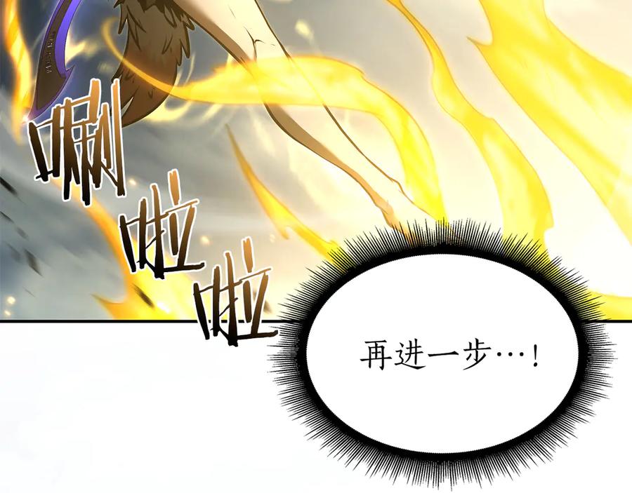 第215页