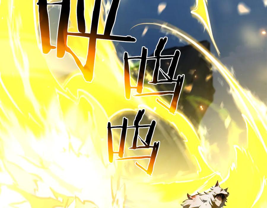 第224页