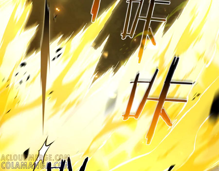 第229页