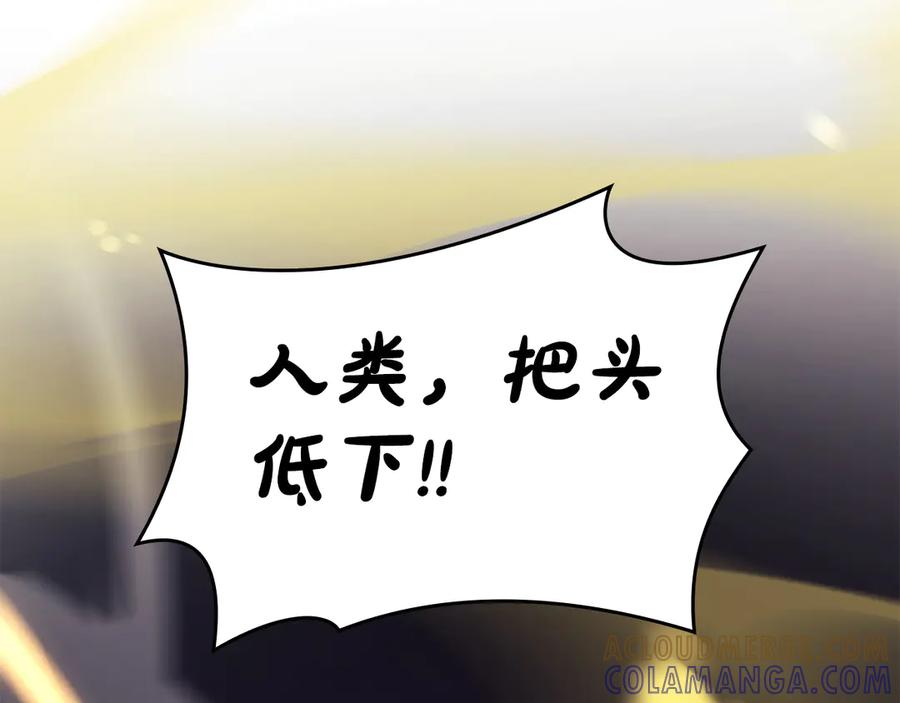 第241页