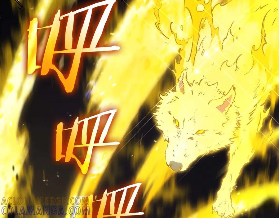 第197页