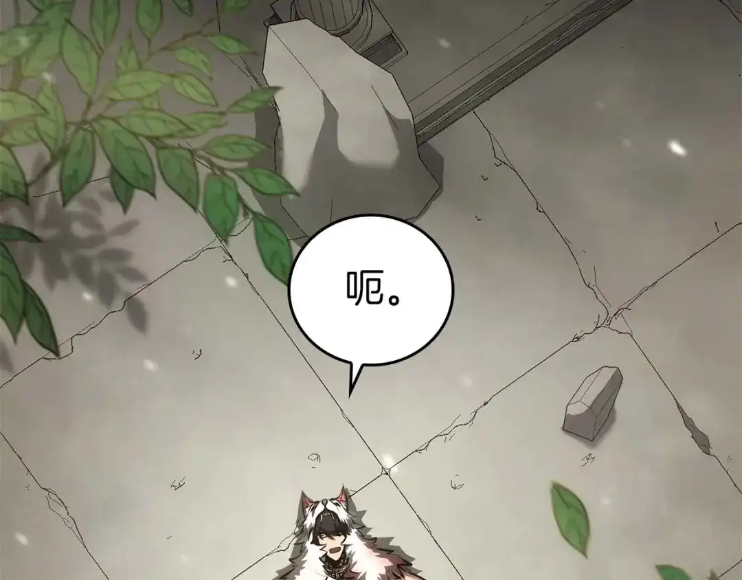 第205页