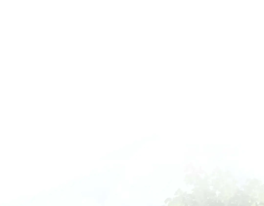第229页