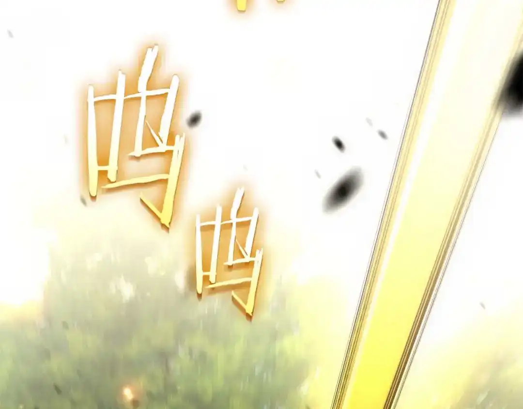 第247页