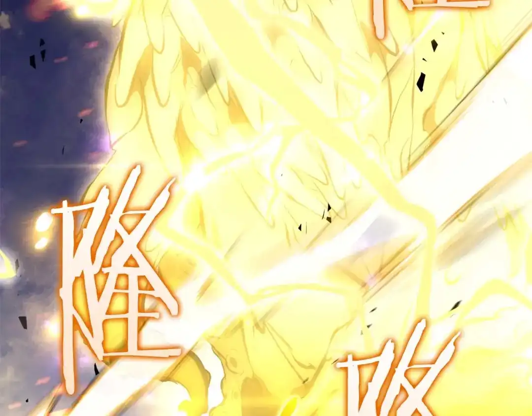 第229页
