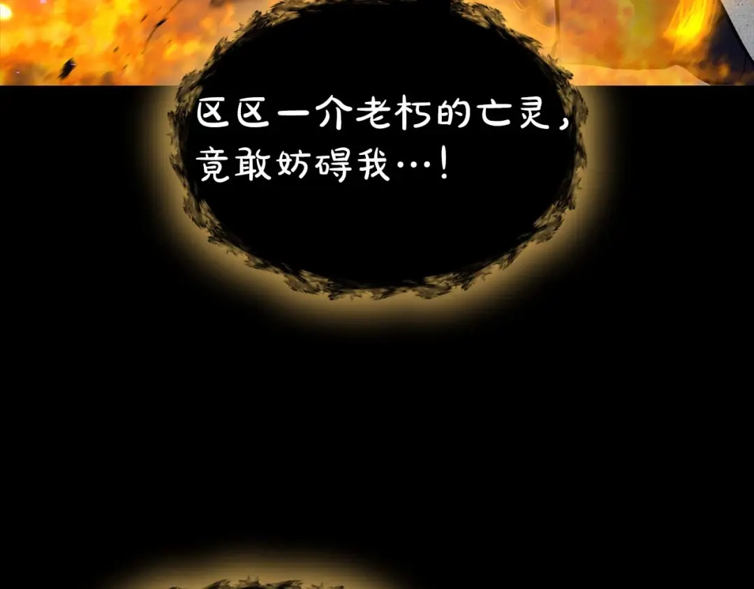 第231页