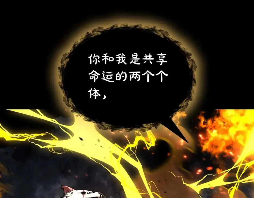 第242页