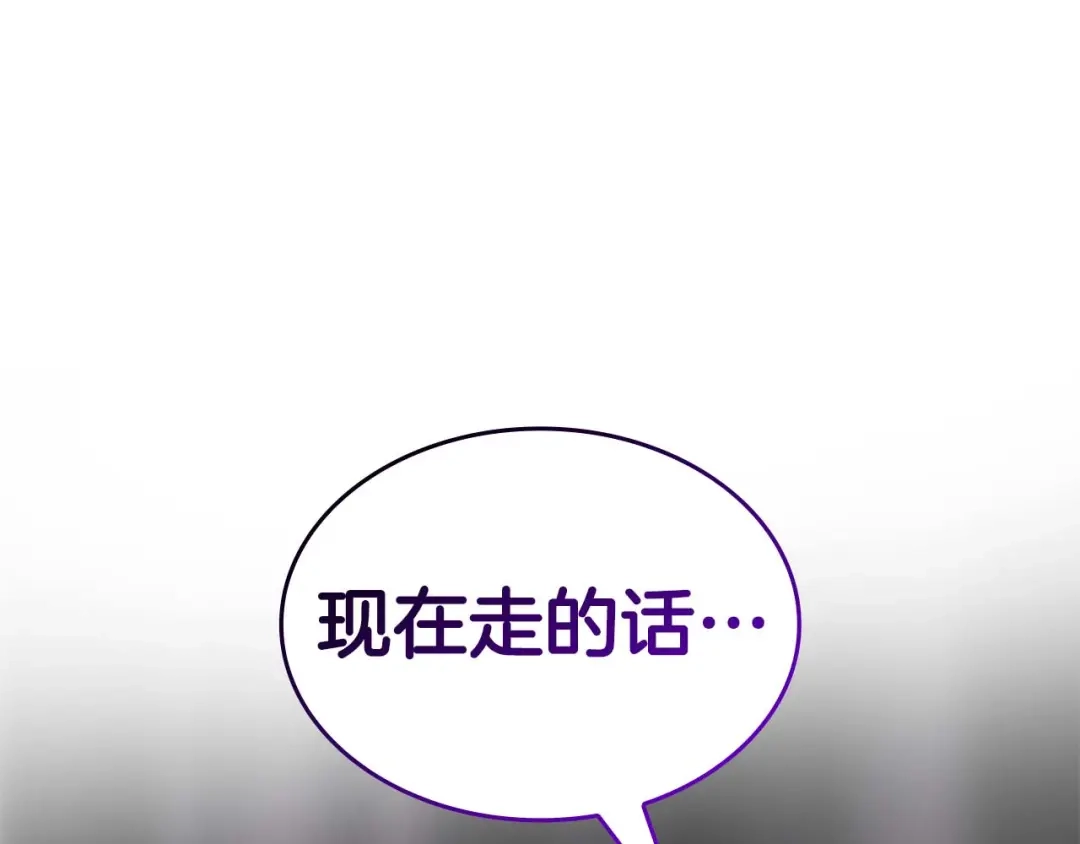 第236页
