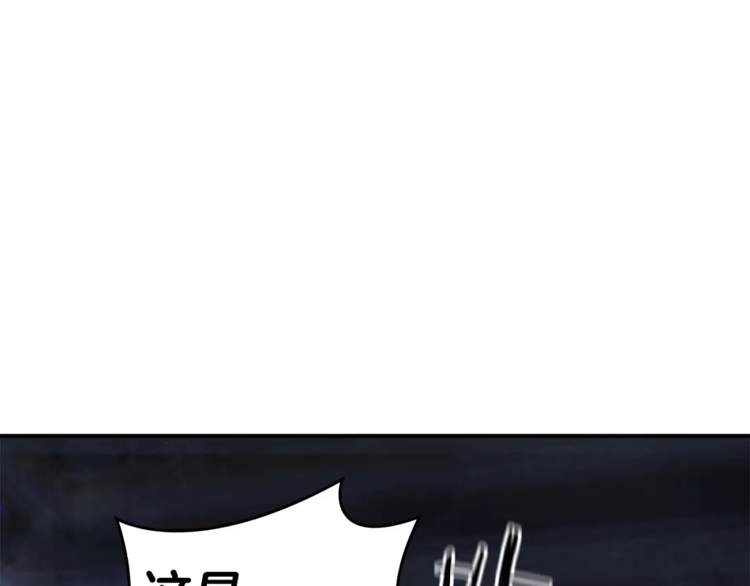 第238页