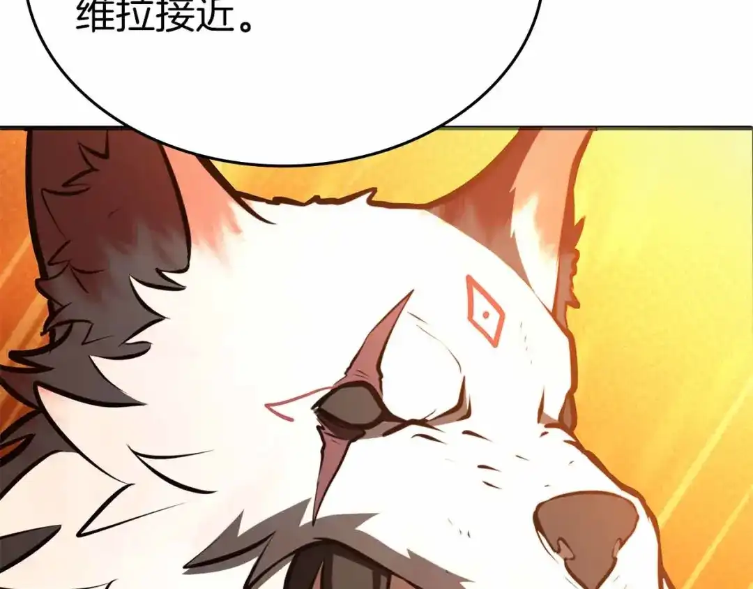 第223页