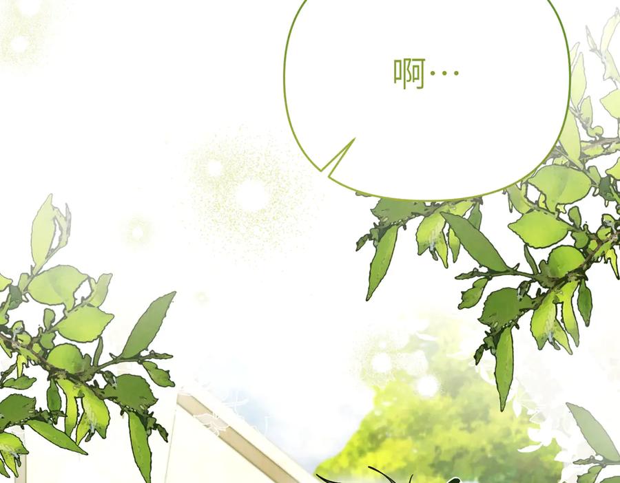 第214页
