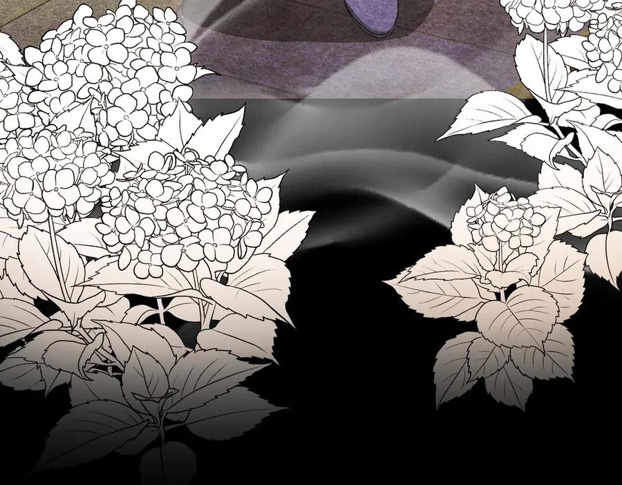 第234页