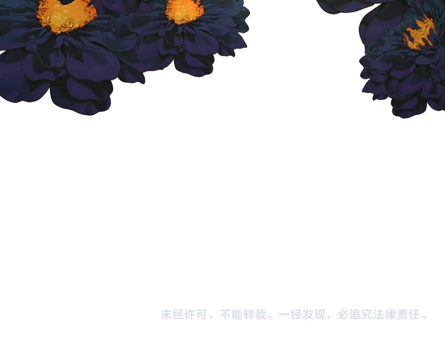 第223页