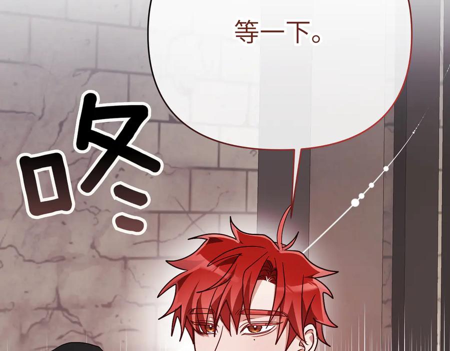 第202页