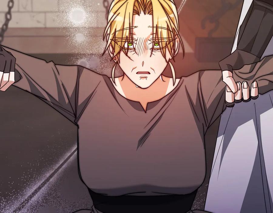 第223页
