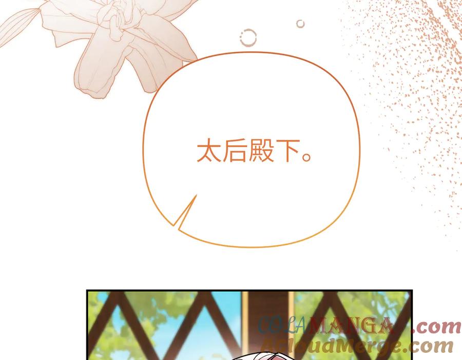 第233页