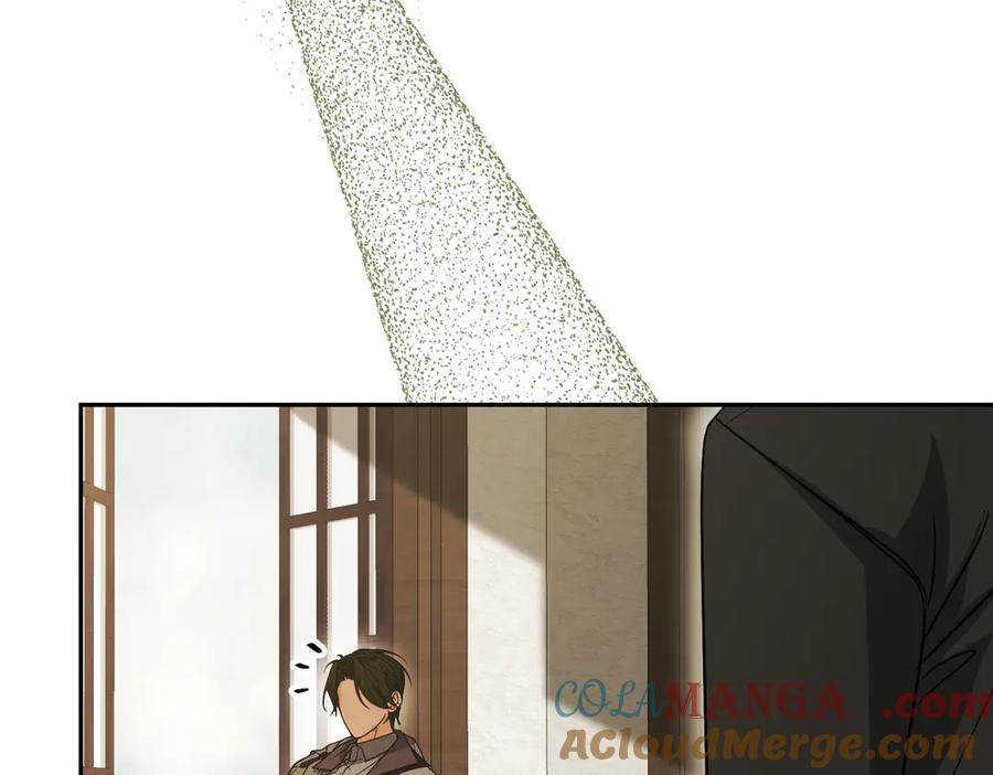 第217页