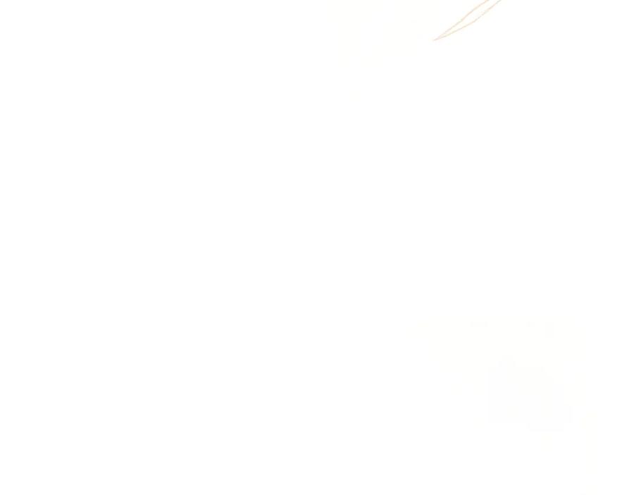 第228页