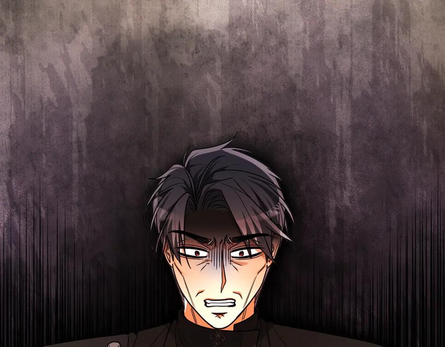 第215页