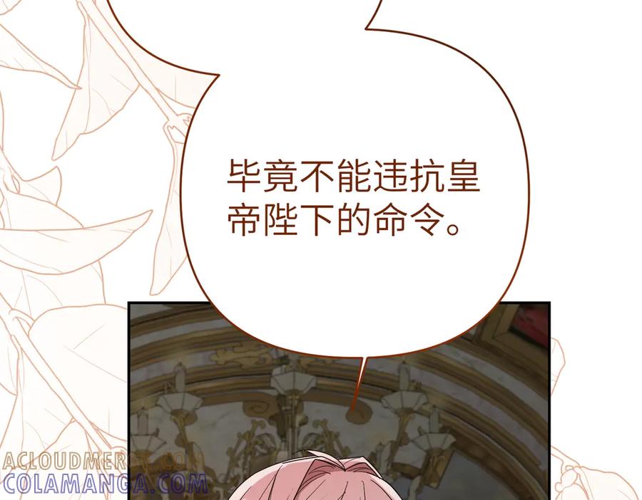 第221页