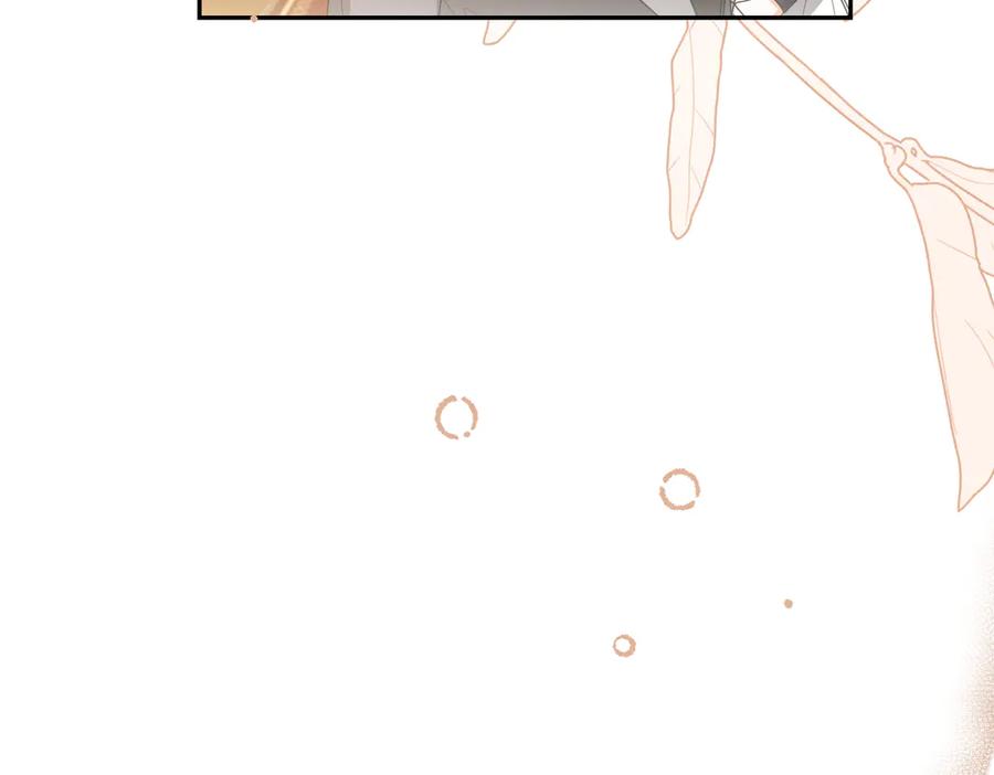第223页