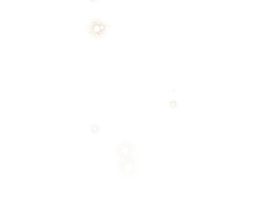 第260页
