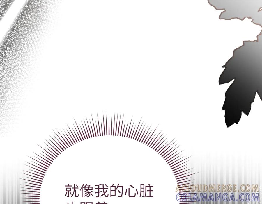 第229页