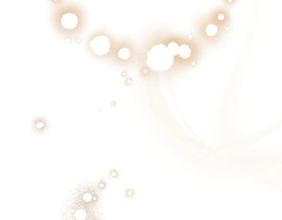 第255页