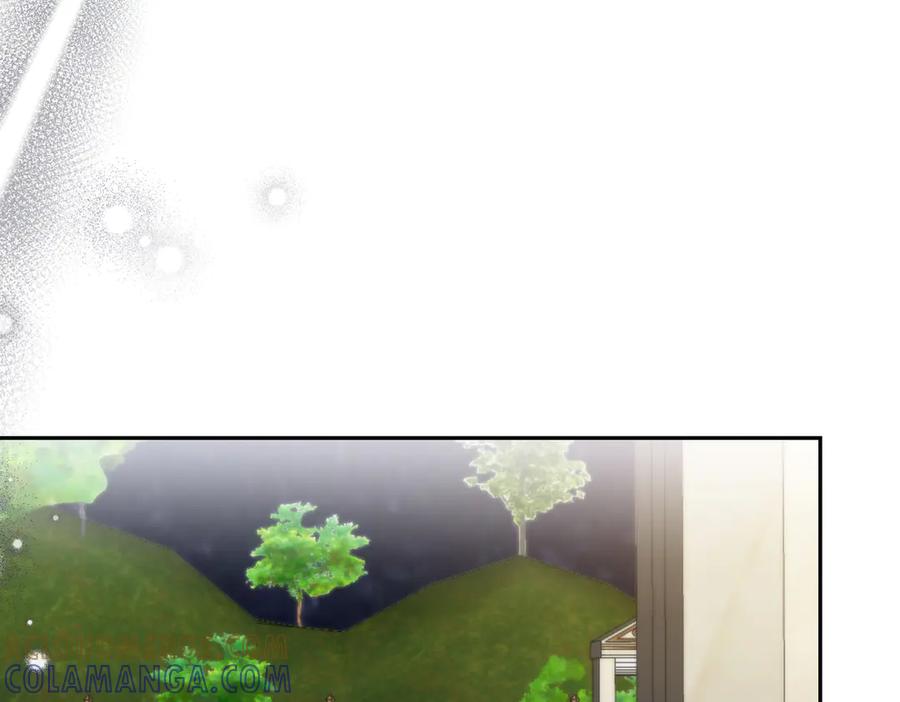 第229页