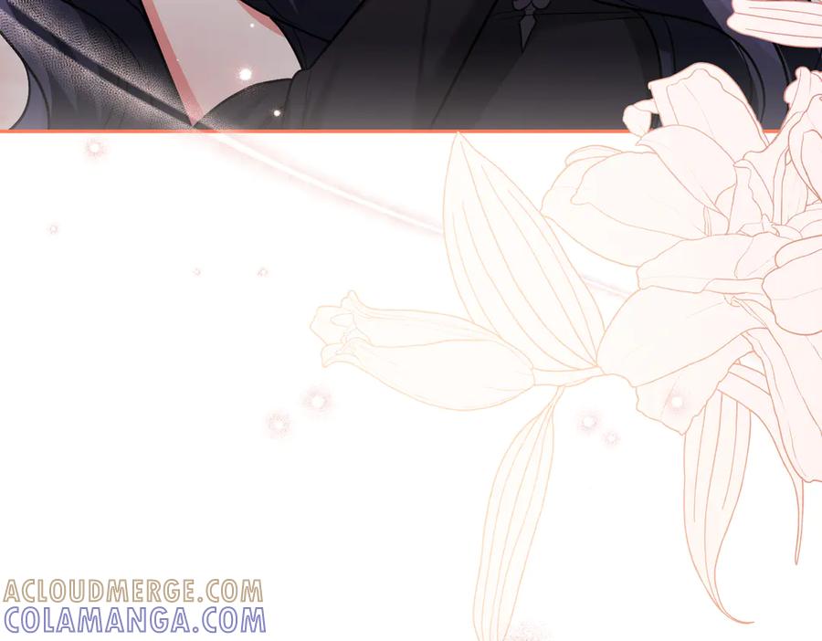 第241页