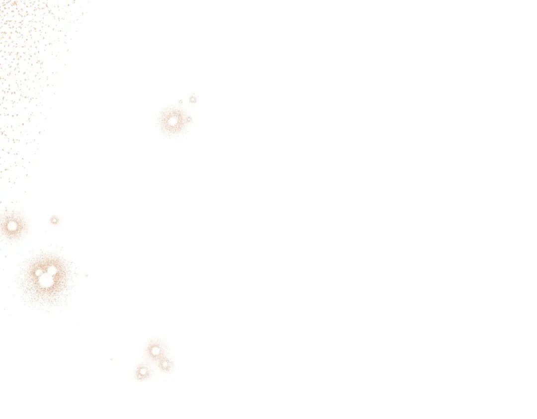第248页