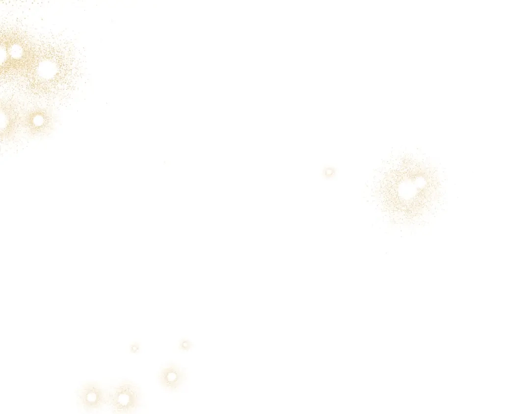第204页