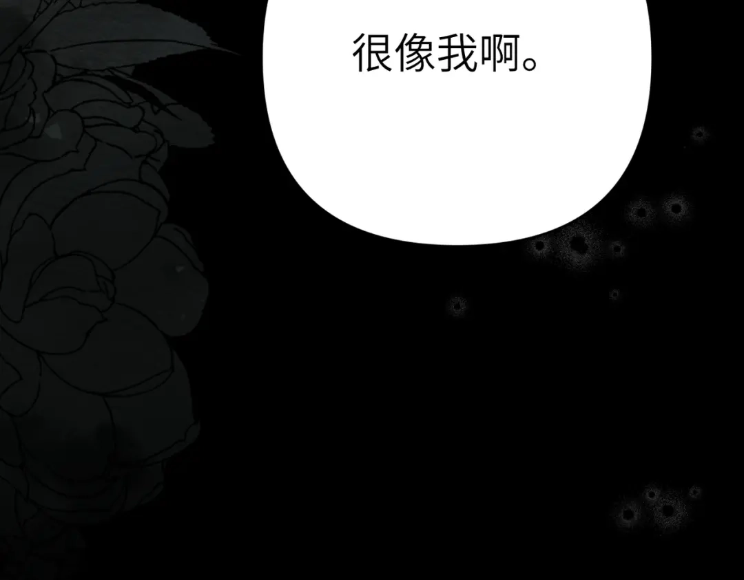 第236页