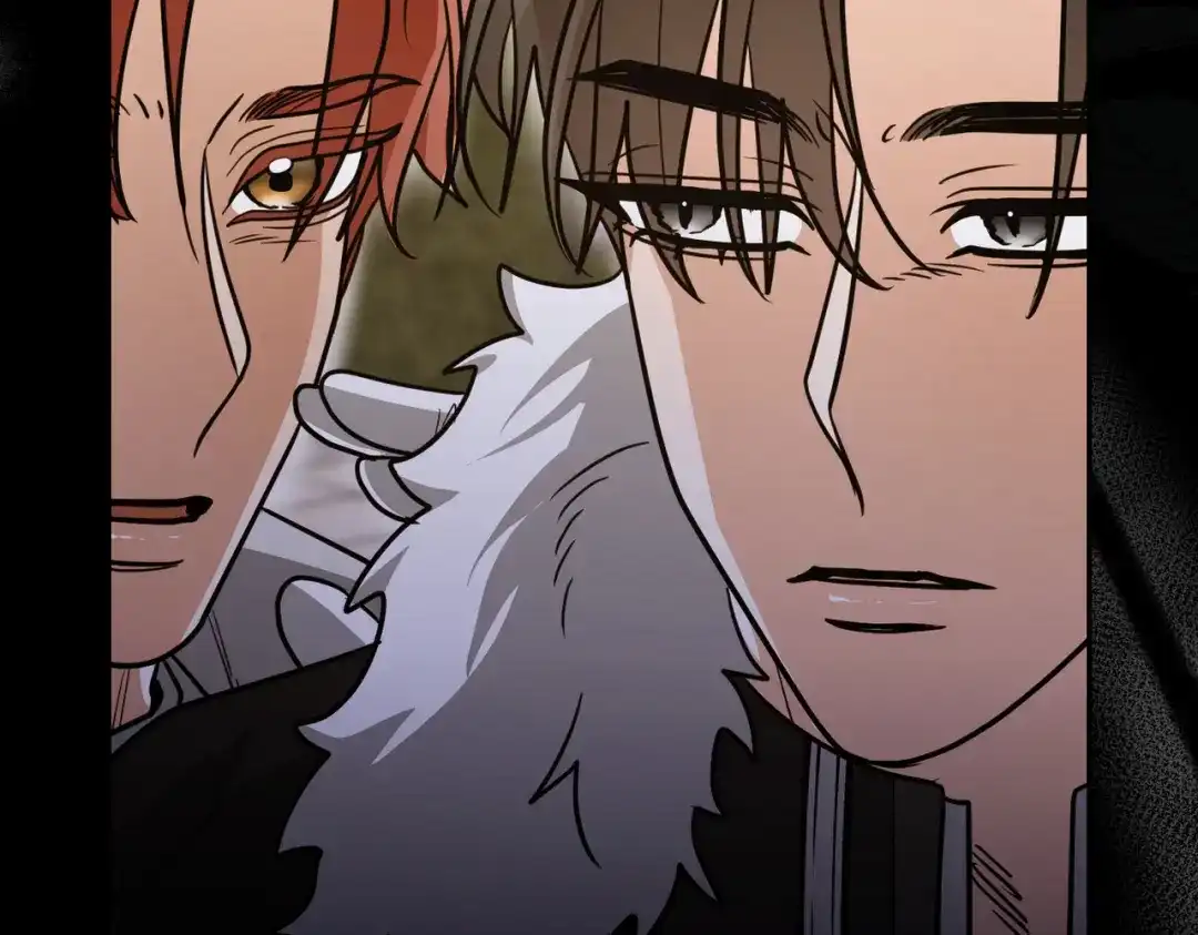 第239页