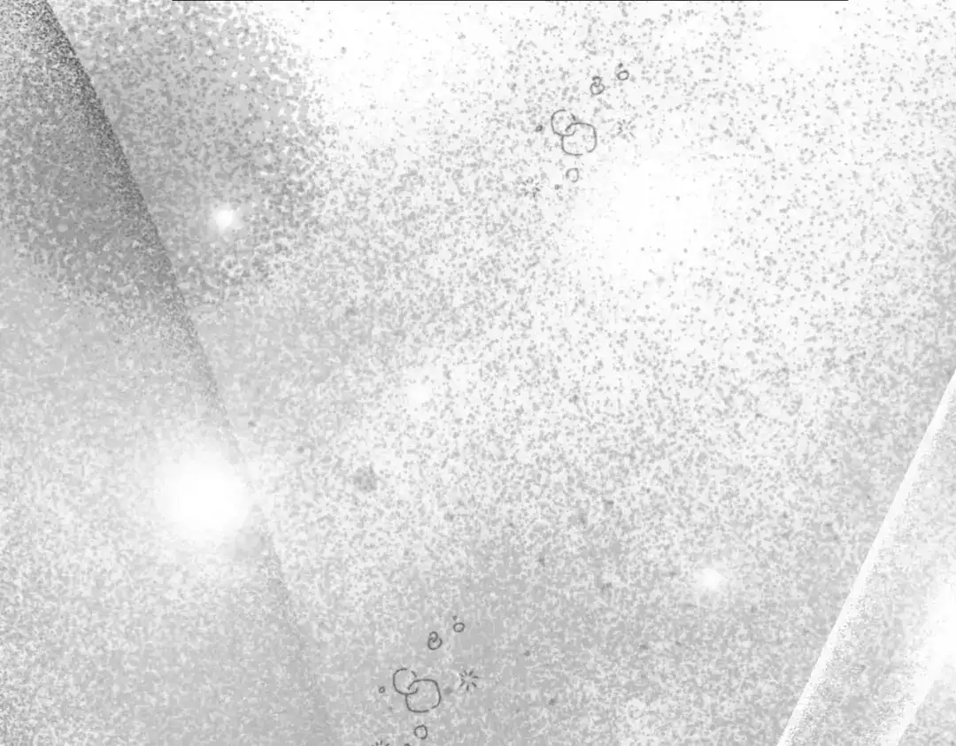第251页