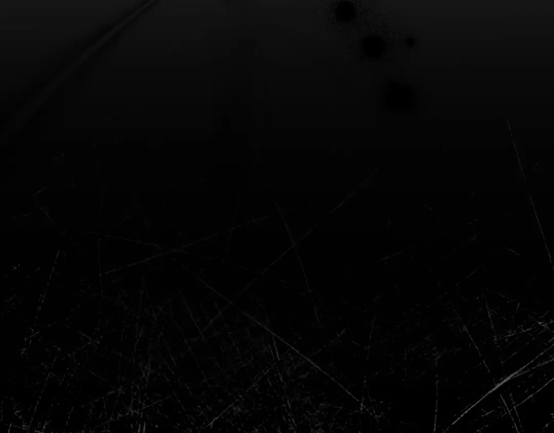 第185页