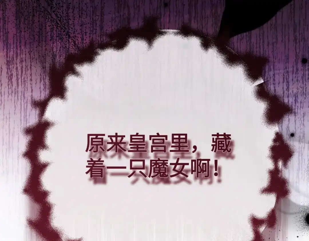 第240页