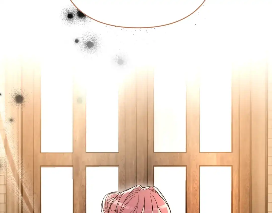 第217页