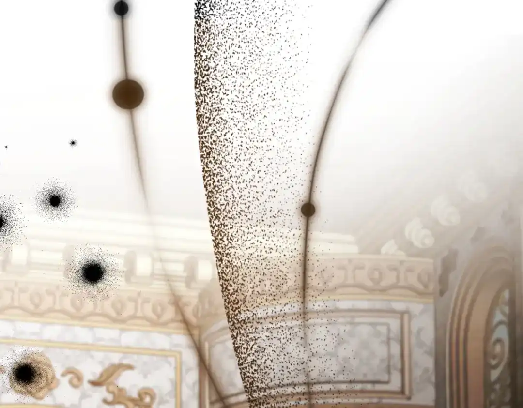 第215页