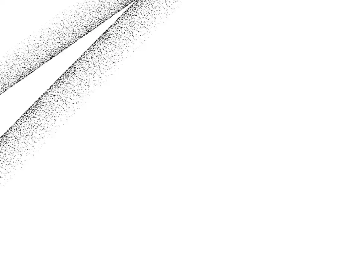 第221页