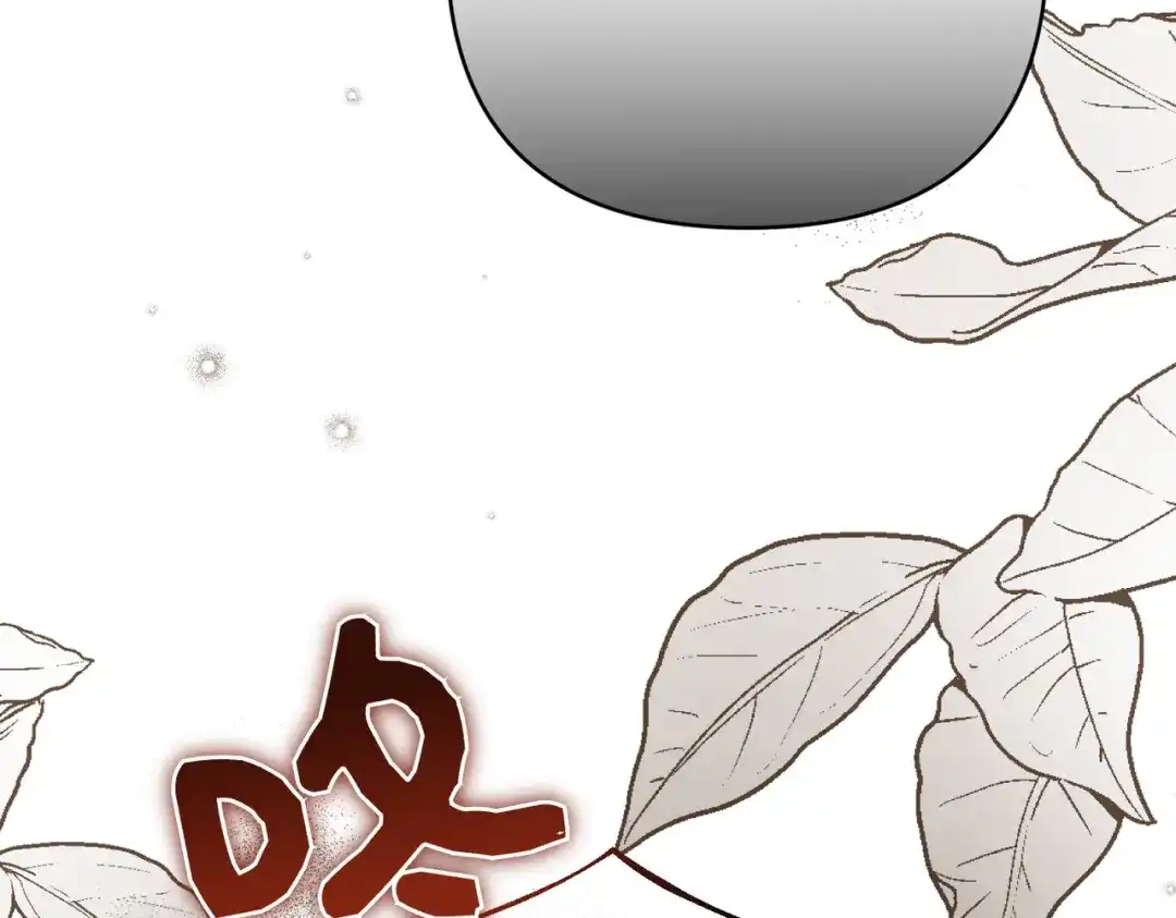 第202页