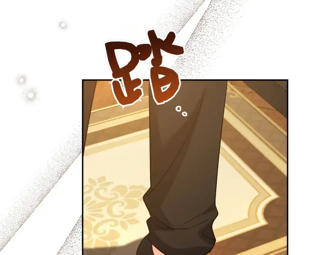 第217页