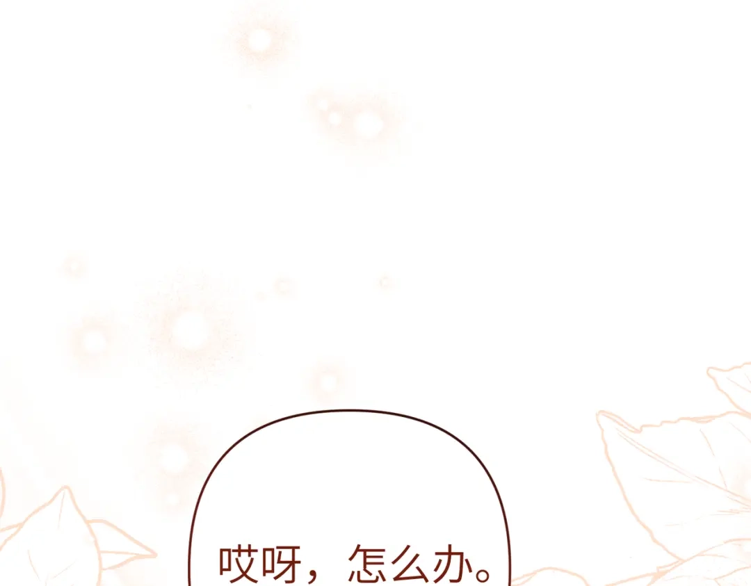 第202页