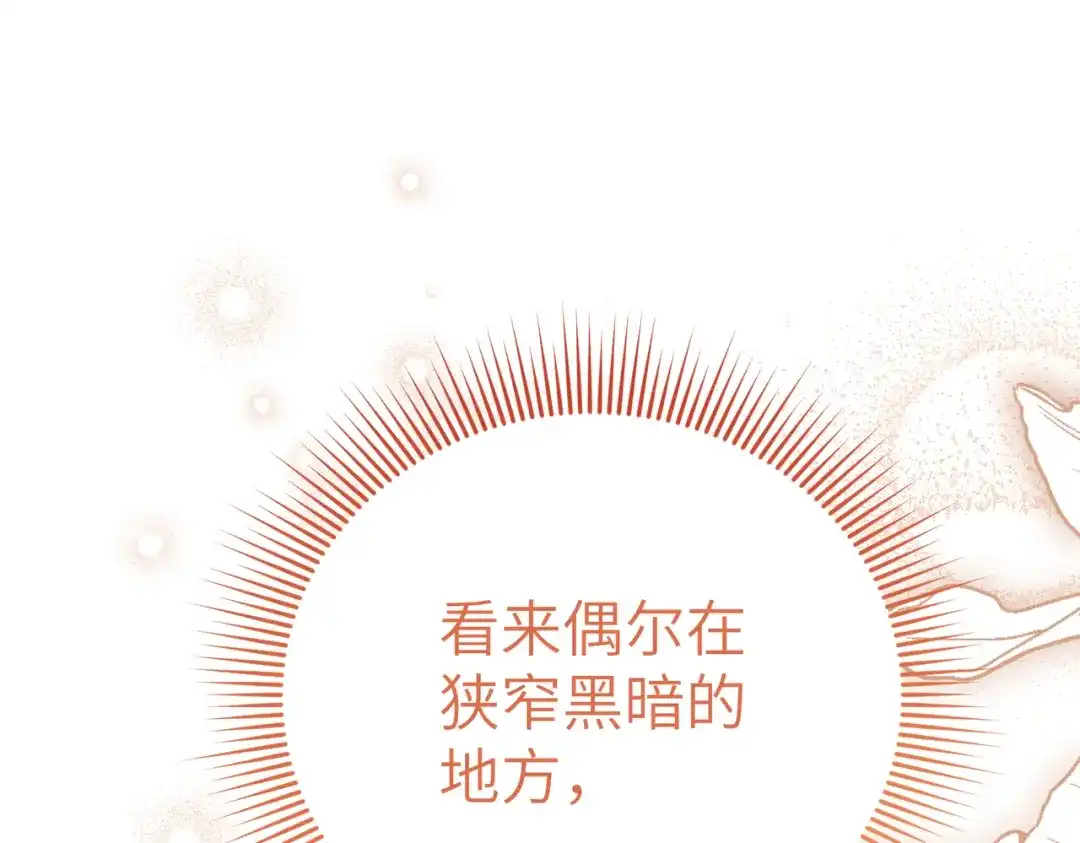 第215页