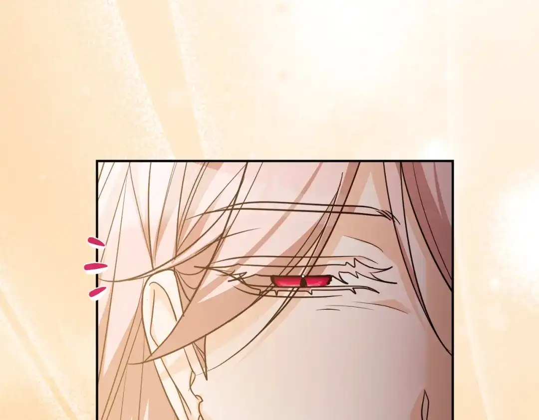第224页